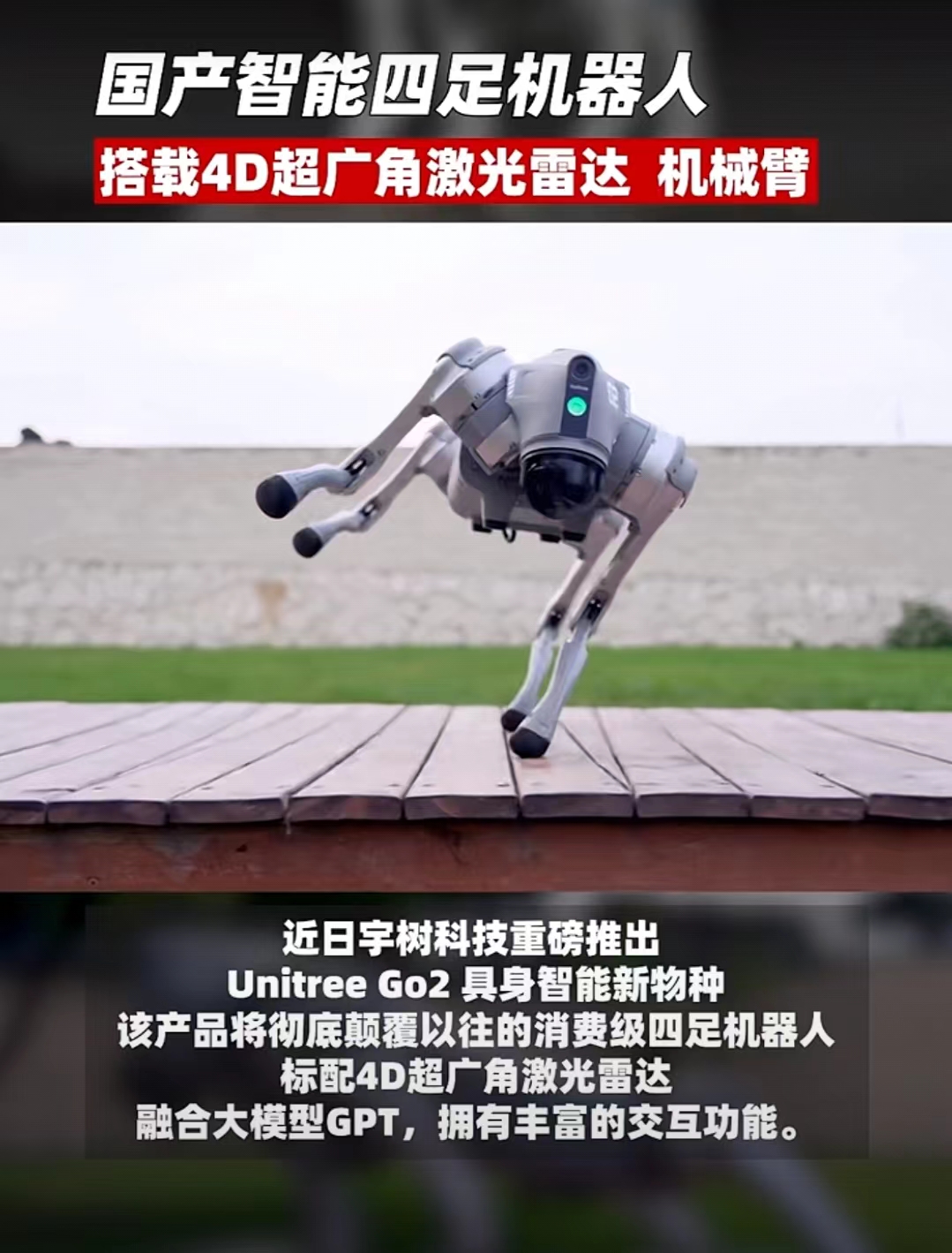 Unitree Go2 機(jī)器狗 智能新物種